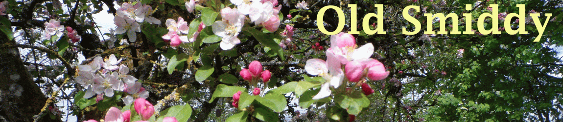 banner_img3