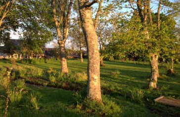 photo1